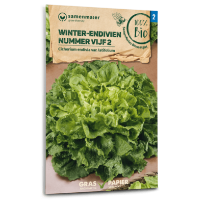 BIO Winter-Endivien Nummer Vijf 2
