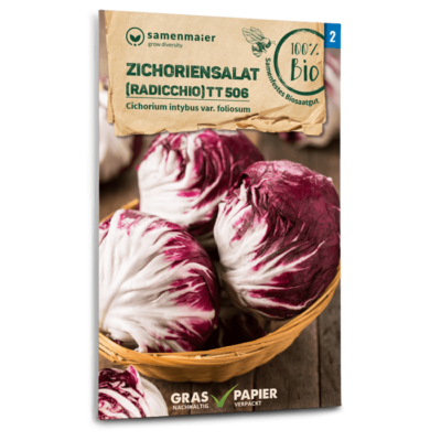 BIO Zichoriensalat (Radicchio) TT 506