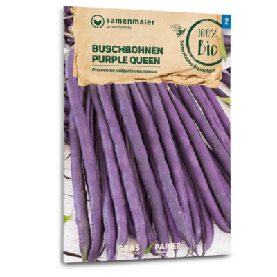 Bio-Buschbohnen "Purple Queen"