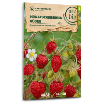 BIO Monatserdbeeren Rügen