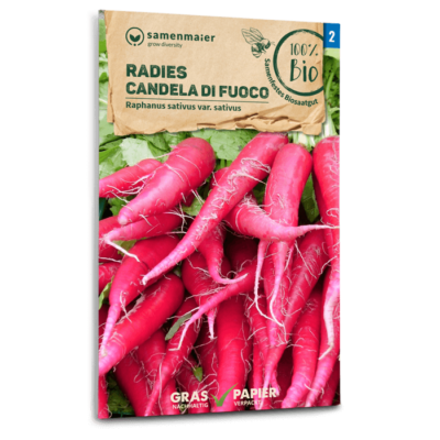 BIO Radies Candela di fuoco