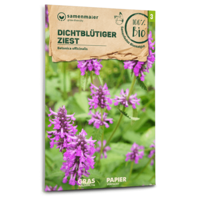BIO Wildblumen - Dichtblütiger Ziest