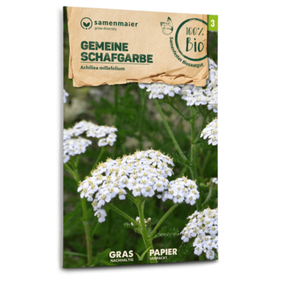 BIO Wildblumen - Gemeine Schafgarbe
