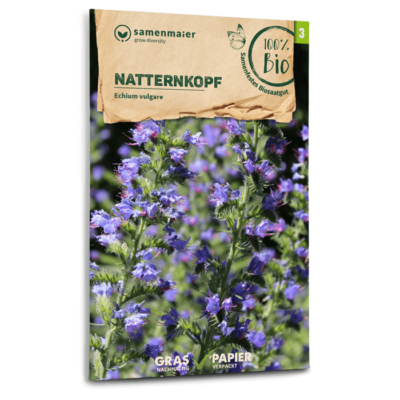 BIO Wildblumen - Natternkopf