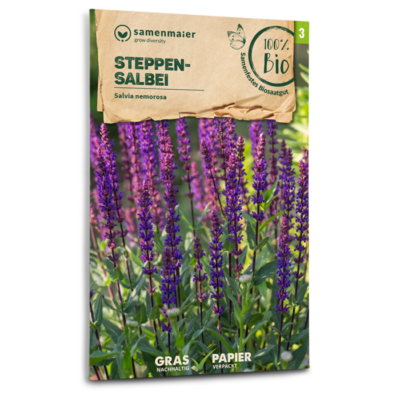 BIO Wildblumen - Steppen-Salbei