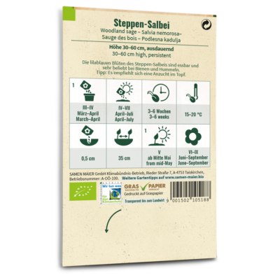 BIO Wildblumen - Steppen-Salbei