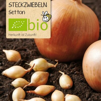 BIO Steckzwiebeln Setton