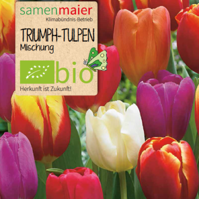 BIO Triumph-Tulpen Mischung 2