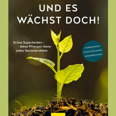 Und es wächst doch!