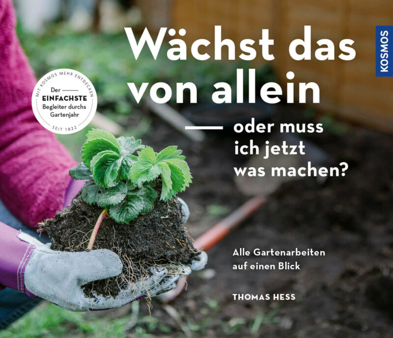 Wächst das von allein?