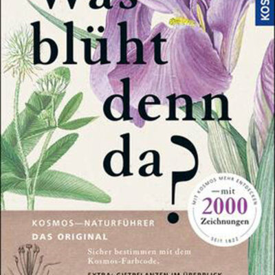 Was blüht denn da?