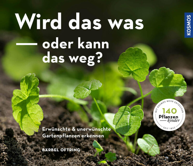 Wird das was - oder kann das weg?