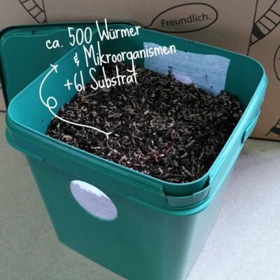 Startpopulation Kompostwürmer ( 500 Stück ) in 4-6 Liter Substrat