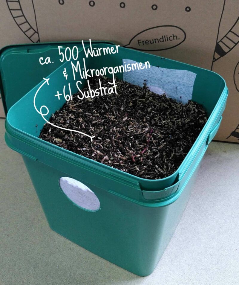 Startpopulation Kompostwürmer ( 500 Stück ) in 4-6 Liter Substrat