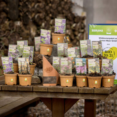 Samen Maiers Wilde Blüten für 2-3 m² (Kraut und Rüben)