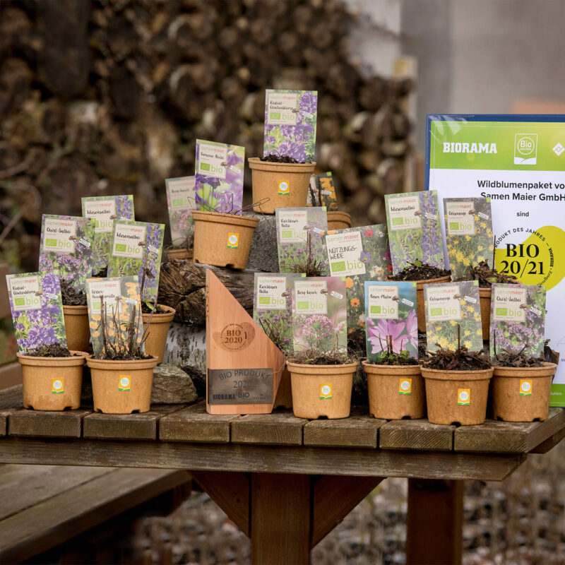 Samen Maiers Wilde Blüten für 2-3 m² (Kraut und Rüben)