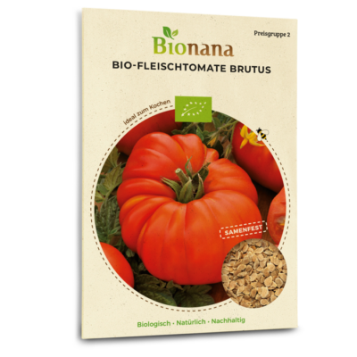 Bio-Fleischtomate „Brutus“