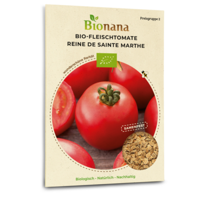 Bio-Fleischtomate „Reine de Sainte Marthe“