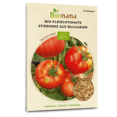 Bio-Fleischtomate „Stierherz aus Bulgarien“