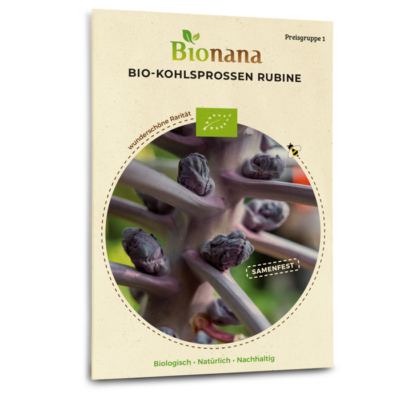 Bio-Kohlsprossen „Rubine“