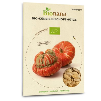 Bio-Kürbis „Bischofsmütze“