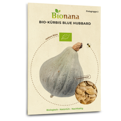 Bio-Kürbis „Blue Hubbard“