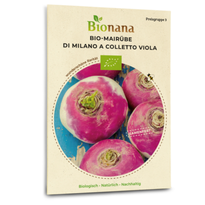 Bio-Mairübe „Di Milano a Colletto viola“