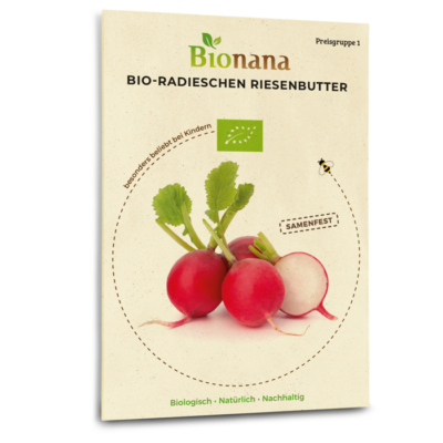 Bio-Radieschen „Riesenbutter“