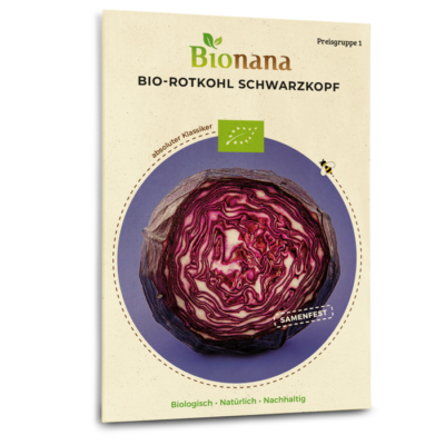Bio-Rotkohl „Schwarzkopf“