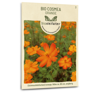 BIO Cosmea orange
