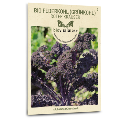 BIO Federkohl (Grünkohl) Roter Krauser