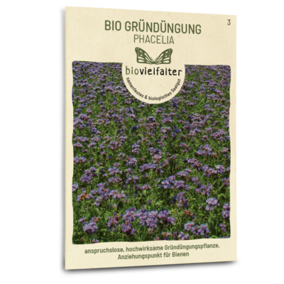 BIO Gründüngung Phacelia
