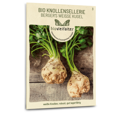 BIO Knollensellerie Berger's weiße Kugel