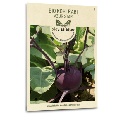 BIO Kohlrabi Azur Star