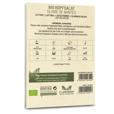 BIO Kopfsalat Gloire de Nantes