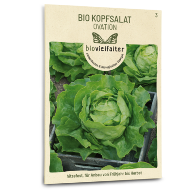 BIO Kopfsalat Ovation