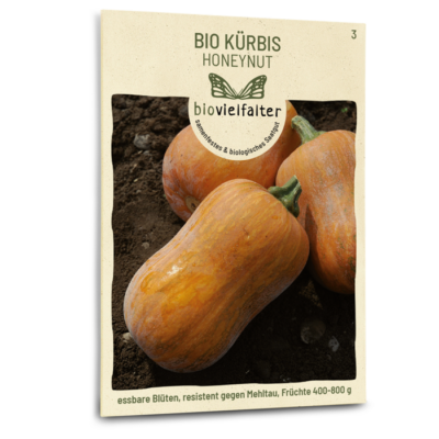 BIO Kürbis Honeynut