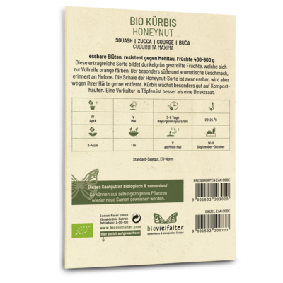 BIO Kürbis Honeynut