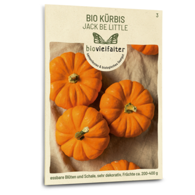 BIO Kürbis Jack Be Little