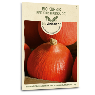 BIO Kürbis Red Kuri (Hokkaido)