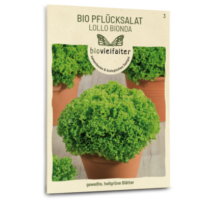 BIO Pflücksalat Lollo Bionda