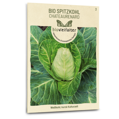 BIO Spitzkohl Chateaurenard