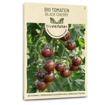 BIO Tomaten Black Cherry