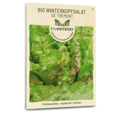 BIO Winterkopfsalat De Trémont