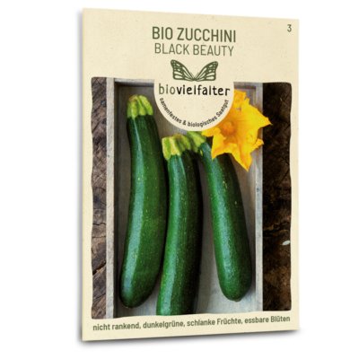 BIO Zucchini Black Beauty