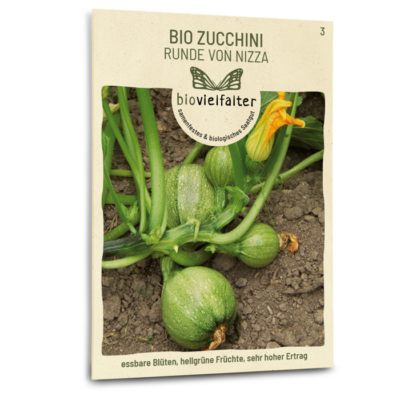 BIO Zucchini Runde von Nizza