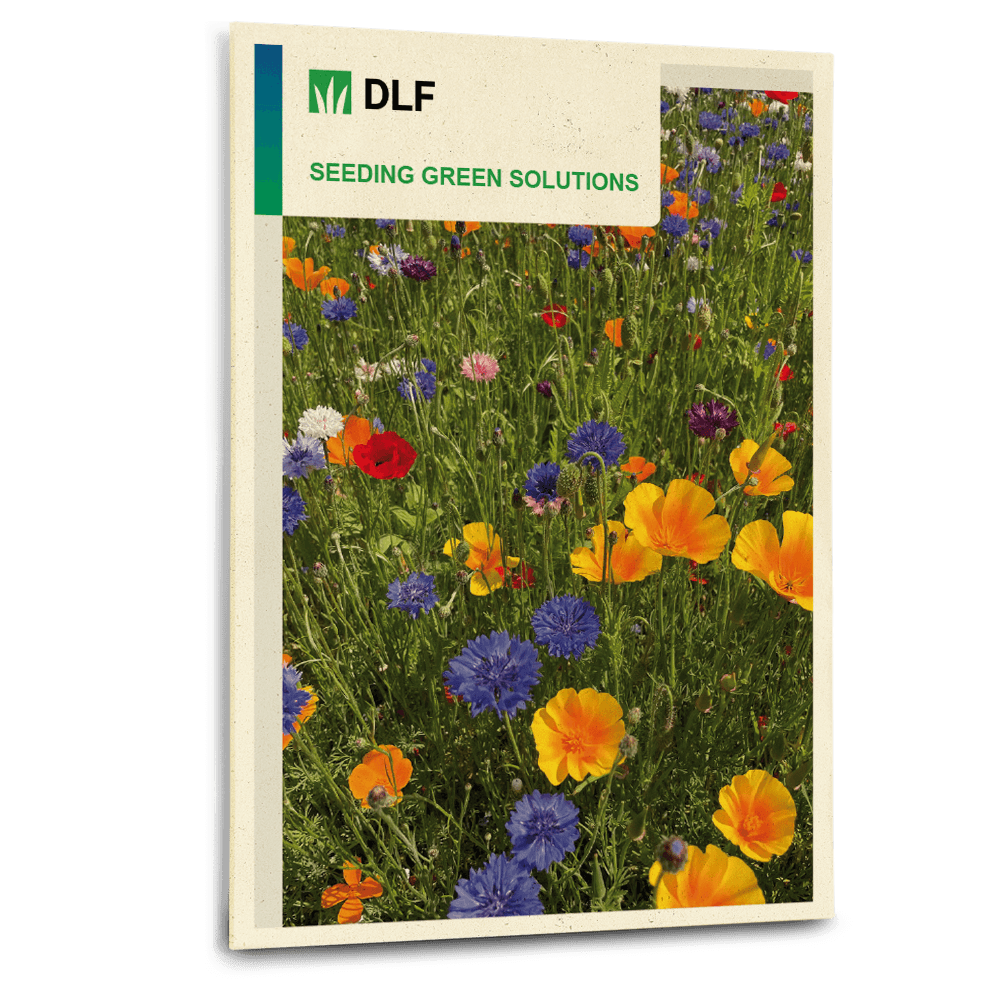 DD_ST_DLF