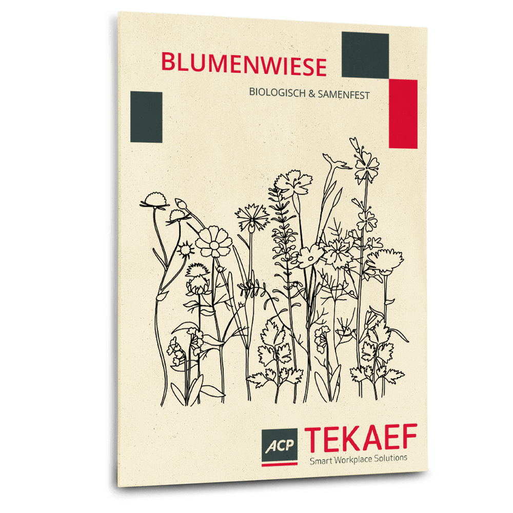 DD_ST_Tekaef