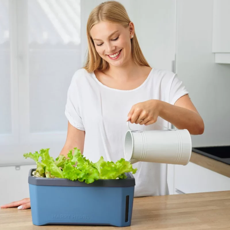 Kräutertopf HARRY HERBS – Bild 6