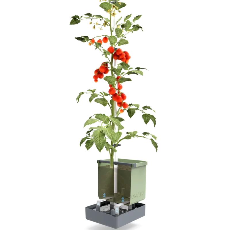 Tomatentopf TOM TOMATO – Bild 4